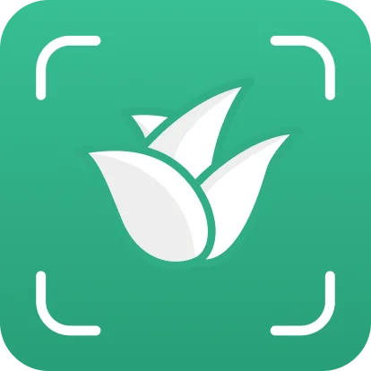 Scan2Grow